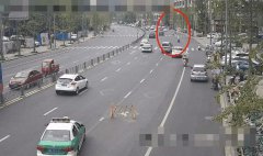 安全行車距離未按規定讓行等違法行為造成的事故危害較大